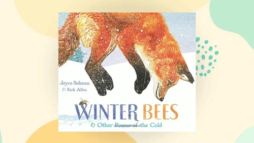 americanbookwarehouse8-2813719