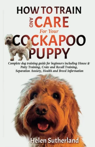 americanbookwarehouse8-2909540