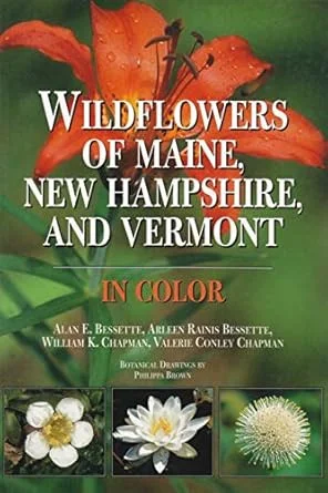 americanbookwarehouse8-3058737