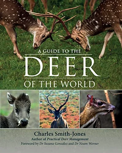 americanbookwarehouse8-3064698