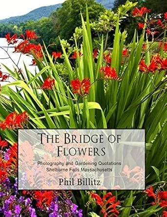 americanbookwarehouse8-3083513