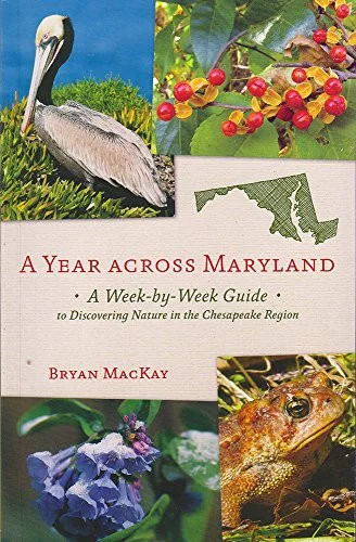 americanbookwarehouse9-2893822
