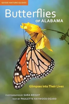 americanbookwarehouse9-2899942