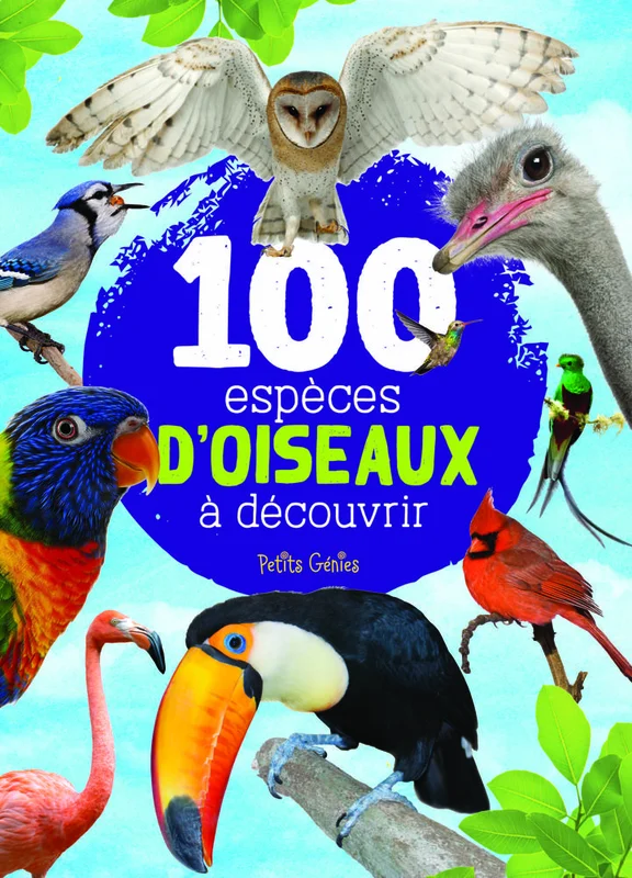 antoineonline6-1466545