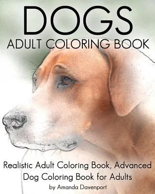 discountmags6-1833190