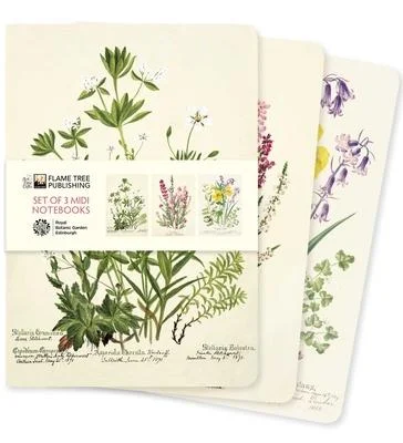 discountmags7-347990