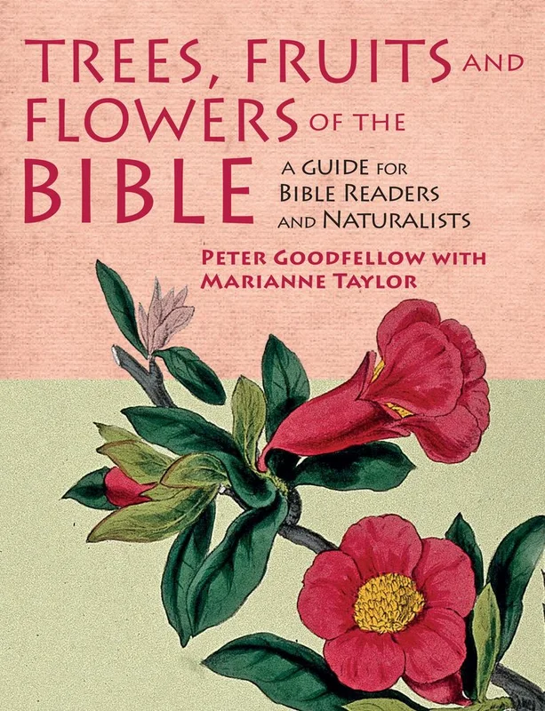 tatteredcover152215013