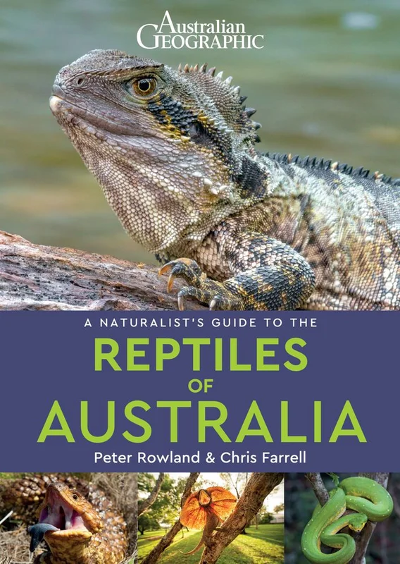 tatteredcover152218459