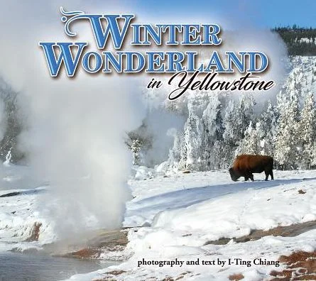 tatteredcover152221822